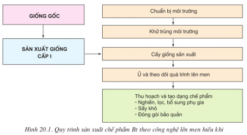 Quy trình sản xuất chế phẩm Bt theo công nghệ lên men hiếu khí